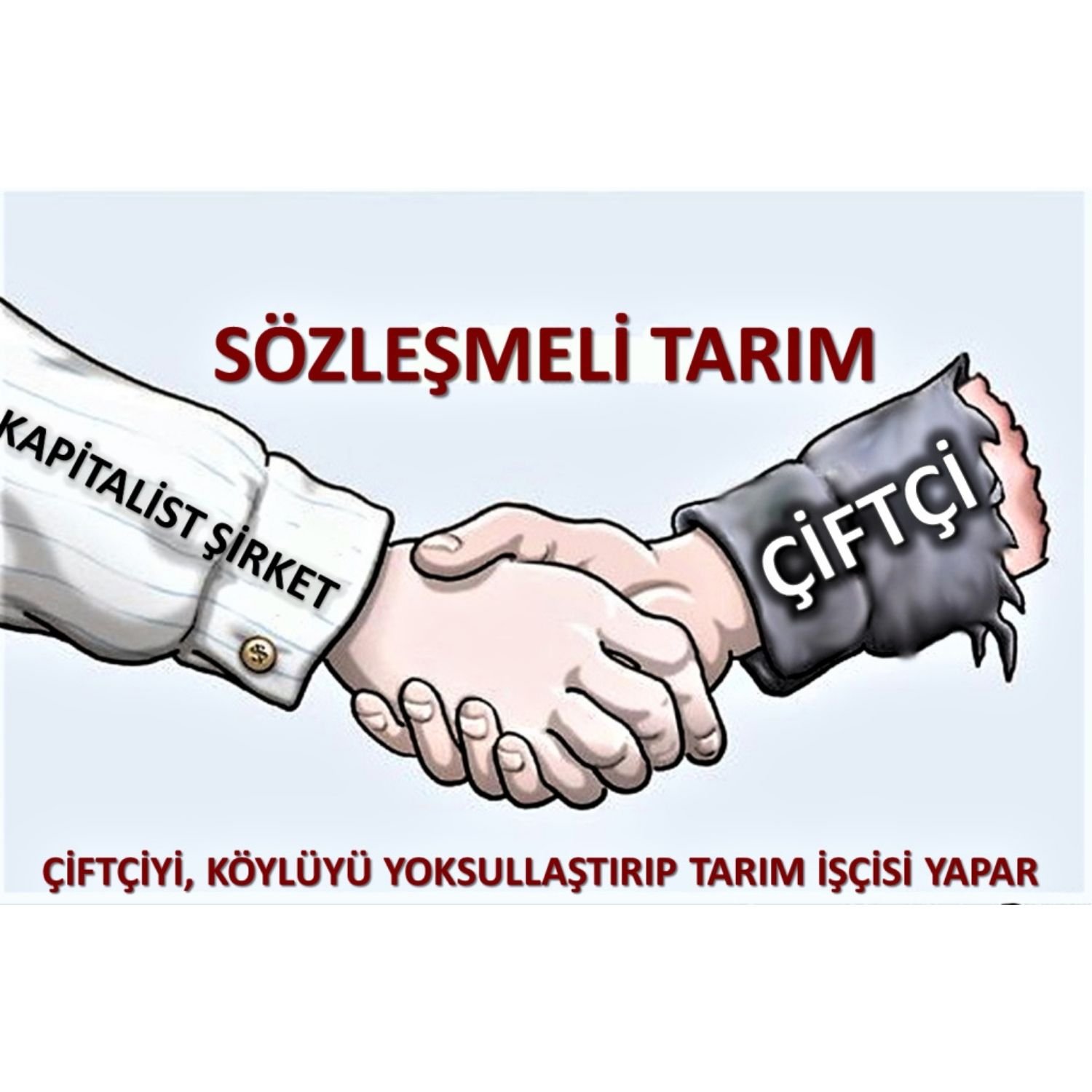 Sermaye Karşısında Dürüst Kalabilmek Organik Sektör